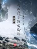 海贼:我加载了游戏面板