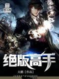 绝版高手txt