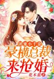 团宠小千金:豪横总裁来抢婚