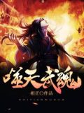 噬天武魂林天