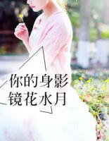 你的身影,镜花水月
