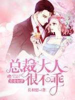 爱妻如梦:总裁大人很不乖
