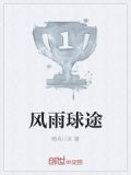 风雨什么途