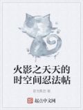 木叶之天天的时空间忍法帖