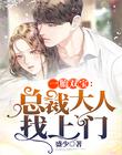 一胎双宝:总裁大人找上门