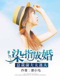 染指成婚:总裁前夫太迷人