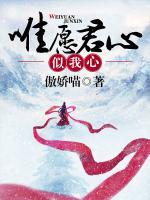 惟愿君心似我心简介