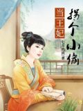 王妃是小偷的小说