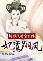 绮罗凤动恋宫纬:妃鸾翔凤