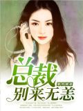 总裁,别来无恙