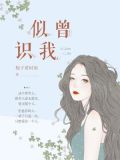 似曾识我