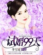 试婚99天电视剧免费观看全集