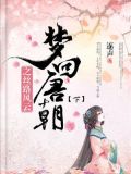 梦回唐朝之丝路风云(下部)