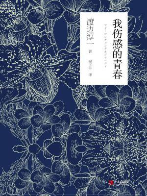 我伤感的青春