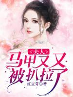 夫人马甲又掉了小说免费阅读无弹窗