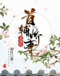 首辅娇妻是道医的小说