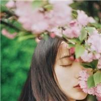 神偷萌妻厉少别追我txt