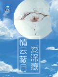 总裁妻色难挡