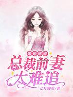 婚婚欲碎:总裁前妻太难追