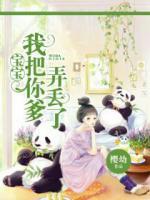 宝宝,我把你爹弄丢了
