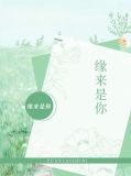 缘来是你洛霏儿苏希慕