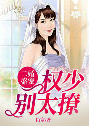 二婚盛宠之权少别太撩
