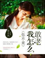 你不来我怎么敢老免费阅读