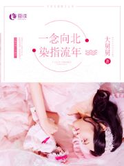 许一念顾向北小说叫什么名字