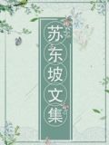 苏东坡文集蜀中有杜处士好书画