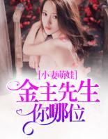 小妻萌娃:金主先生你哪位 百度网盘