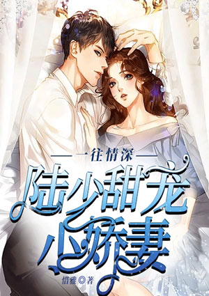 一往情深:陆少甜宠小娇妻