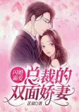 闪婚霸爱:总裁的双面娇妻