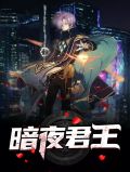 暗夜君王江夜林初雪最新