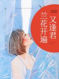 兰花开遍又逢君兰斯睿