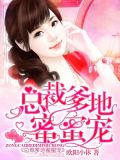 萌宝归来陆少请负责最新章正版