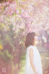 小说主角顾瑶蒋文煦