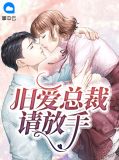 旧爱总裁请放手慕之言