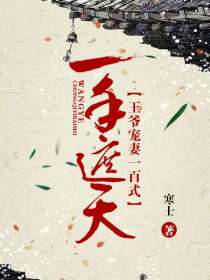 一手遮天:王爷宠妻一百式