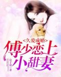 久爱成婚:傅少恋上小甜妻