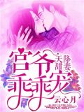 天降萌妻:宫爷揽入怀小说天降萌妻:宫爷揽入怀