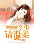 闪婚蜜爱冷少请温柔 小说