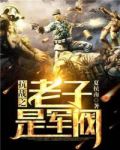 抗战之老子是军阀txt下载奇书网