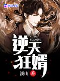 逆天狂婿林寒短剧免费观看