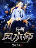 狂婿风水师
