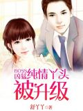 Boss凶猛:纯情丫头被升级