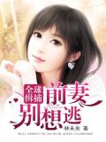 全球缉捕:前妻别想逃