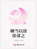 卿以为何?王许之