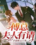 夫人有请免费阅读