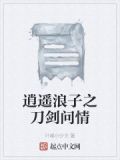 逍遥浪子之刀剑问情百度百科
