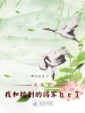 穿书后我和将军重逢了